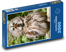 Large gray owl - bird, predator Puzzle 2000 pieces - 90 x 60 cm