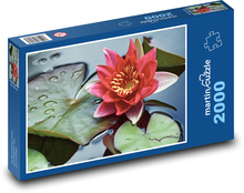 Red water lily - flower, flower Puzzle 2000 pieces - 90 x 60 cm