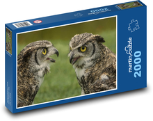 Sovy - vtáky, zvieratá Puzzle 2000 dielikov - 90 x 60 cm