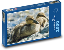 Entlein - Wasservögel, Vögel Puzzle 2000 Teile - 90 x 60 cm