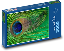 Peacock feathers - peacock, bird Puzzle 2000 pieces - 90 x 60 cm