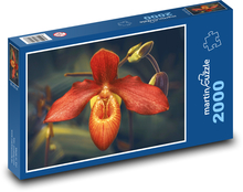 Tropikalna orchidea - kwiat, kwiat Puzzle 2000 elementów - 90x60 cm