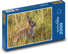 Králik v tráve - voľne žijúcich živočíchov, sedieť Puzzle 2000 dielikov - 90 x 60 cm