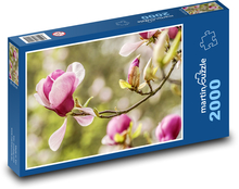 Magnolia - jarná kvetina, záhrada Puzzle 2000 dielikov - 90 x 60 cm