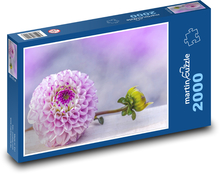 Dahlie - lila Blume Puzzle 2000 Teile - 90 x 60 cm