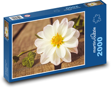 Dahlie – Gartenblume, Blüte Puzzle 2000 Teile - 90 x 60 cm