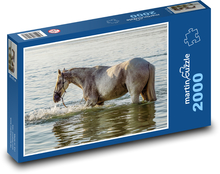 Kôň vo vode - kúpeľ, rybník Puzzle 2000 dielikov - 90 x 60 cm