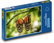 Motýli - hmyz, párování Puzzle 2000 dílků - 90 x 60 cm