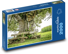 Starý strom - lavička, kmeň Puzzle 2000 dielikov - 90 x 60 cm