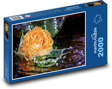 Ruže - rastlina, kvet Puzzle 2000 dielikov - 90 x 60 cm