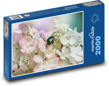 Hortensja - kwiat, chroust Puzzle 2000 elementów - 90x60 cm