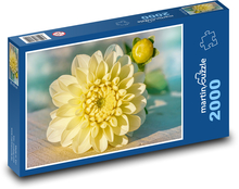 Yellow dahlias - flower, garden Puzzle 2000 pieces - 90 x 60 cm