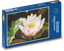 Seerose - Blume, Wasser Puzzle 2000 Teile - 90 x 60 cm
