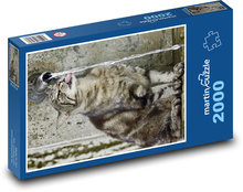 Pet - mačka, nápoj Puzzle 2000 dielikov - 90 x 60 cm