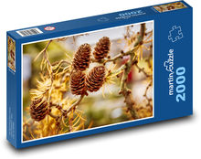 Szyszki modrzewiowe - drzewo, igła Puzzle 2000 elementów - 90x60 cm