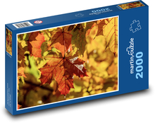 Maple - colorful leaves, autumn Puzzle 2000 pieces - 90 x 60 cm