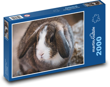 Ovce králik - uši, zviera Puzzle 2000 dielikov - 90 x 60 cm