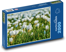 Weiße Krokusse - Frühlingswiese, Blumen Puzzle 2000 Teile - 90 x 60 cm