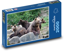 Bears in the zoo - animals, nature Puzzle 2000 pieces - 90 x 60 cm