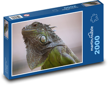 Iguana - jašterica, plaz Puzzle 2000 dielikov - 90 x 60 cm