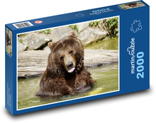 Medvěd - savec, zvíře Puzzle 2000 dílků - 90 x 60 cm