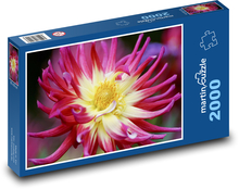 Jiřina - jesenný kvet, záhrada Puzzle 2000 dielikov - 90 x 60 cm