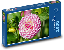 Růžová jiřina - květina, zahrada Puzzle 2000 dílků - 90 x 60 cm