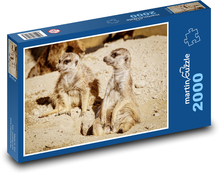 Surikata - zviera, zoologická záhrada Puzzle 2000 dielikov - 90 x 60 cm