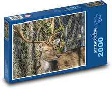 Jelene - voľne žijúce zvieratá, parohy Puzzle 2000 dielikov - 90 x 60 cm