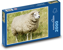 Schafe auf der Wiese - Tier, Natur Puzzle 2000 Teile - 90 x 60 cm