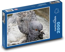 Holubica - vták, perie Puzzle 2000 dielikov - 90 x 60 cm
