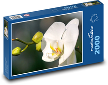 Biela orchidea - kvet, rastlina Puzzle 2000 dielikov - 90 x 60 cm