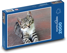 Ślicznotka - młody kot, zwierzę Puzzle 2000 elementów - 90x60 cm