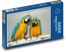 Papoušek ara - ptáci, zvířata Puzzle 2000 dílků - 90 x 60 cm