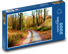 Path in the forest - autumn, nature Puzzle 2000 pieces - 90 x 60 cm