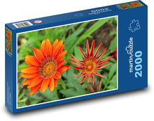 Pomarańczowa gazania - kwiat, ogród Puzzle 2000 elementów - 90x60 cm