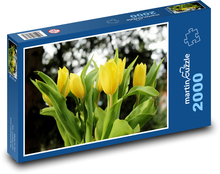 Gelbe Tulpen - Blüten, Frühling Puzzle 2000 Teile - 90 x 60 cm
