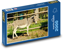 Donkey - animal, mammal Puzzle 2000 pieces - 90 x 60 cm