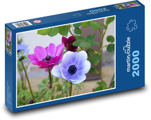 Anemone - Blume, Garten Puzzle 2000 Teile - 90 x 60 cm