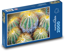 Kaktus - exotika, rostlina Puzzle 2000 dílků - 90 x 60 cm
