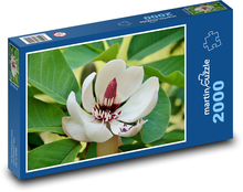 Magnolia - okrasný strom, kvet Puzzle 2000 dielikov - 90 x 60 cm