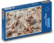 Tree - oak, acorns Puzzle 2000 pieces - 90 x 60 cm