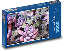 Succulents - cacti, flowers Puzzle 2000 pieces - 90 x 60 cm