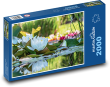 Bílý leknín - kvetoucí rostlina, rybník Puzzle 2000 - 90x60 cm