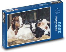 Kozy - mláďata, zvířata  Puzzle 2000 dílků - 90 x 60 cm