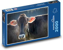 Cow - cattle, farm Puzzle 2000 pieces - 90 x 60 cm