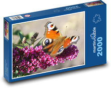 Motýľ - kvet, opeľovať Puzzle 2000 dielikov - 90 x 60 cm