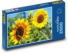 Slnečnice - žlté kvety, leto Puzzle 2000 dielikov - 90 x 60 cm