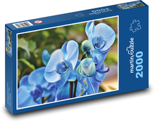 Modrá orchidej - květina, rostlina Puzzle 2000 dílků - 90 x 60 cm