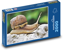 Hlemýžď - měkkýš, plazit se Puzzle 2000 dílků - 90 x 60 cm